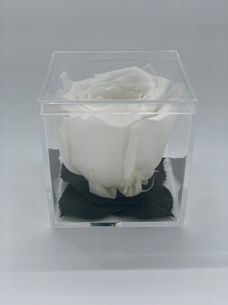 GOLD ROSE MINI ACRYLIC BOX