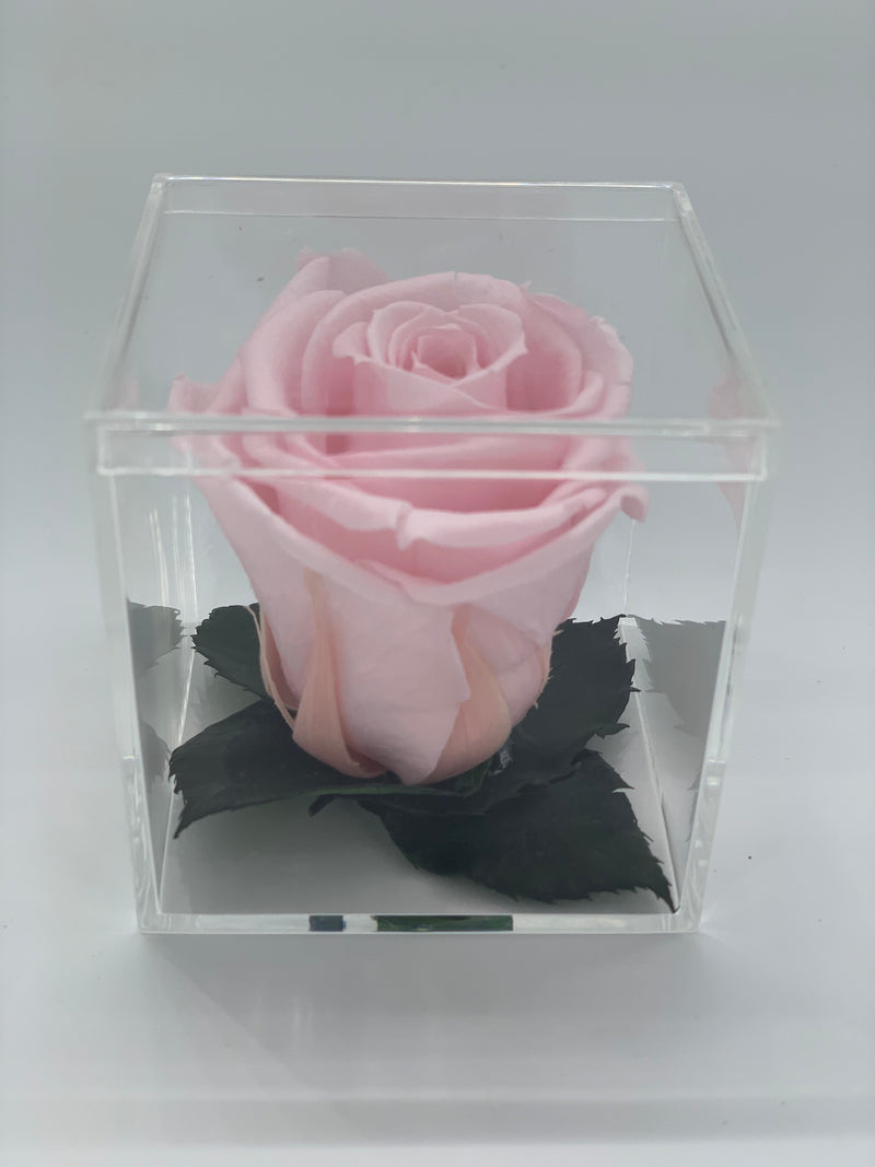 GOLD ROSE MINI ACRYLIC BOX