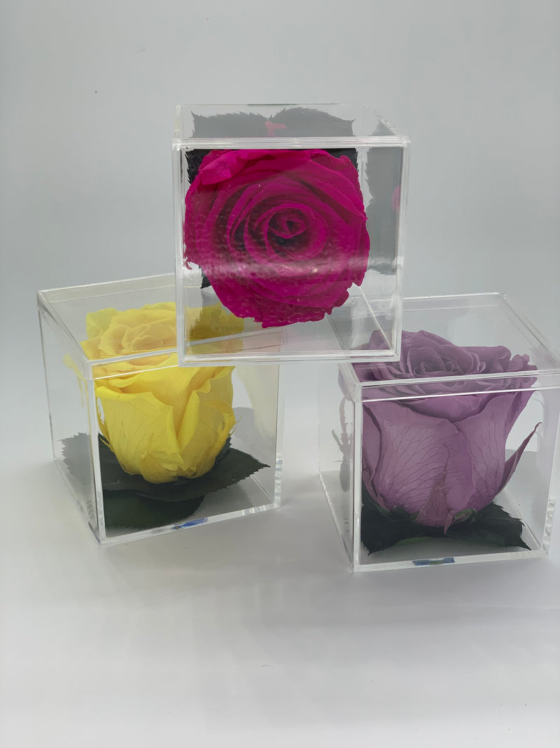 GOLD ROSE MINI ACRYLIC BOX