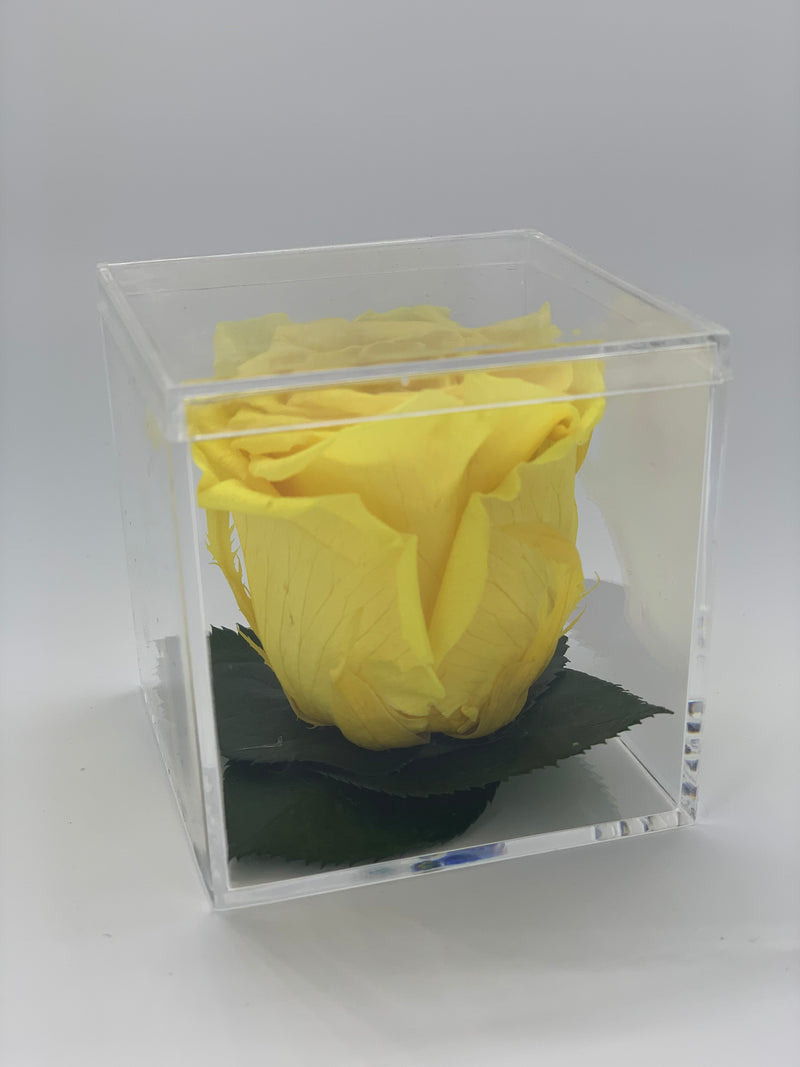 GOLD ROSE MINI ACRYLIC BOX