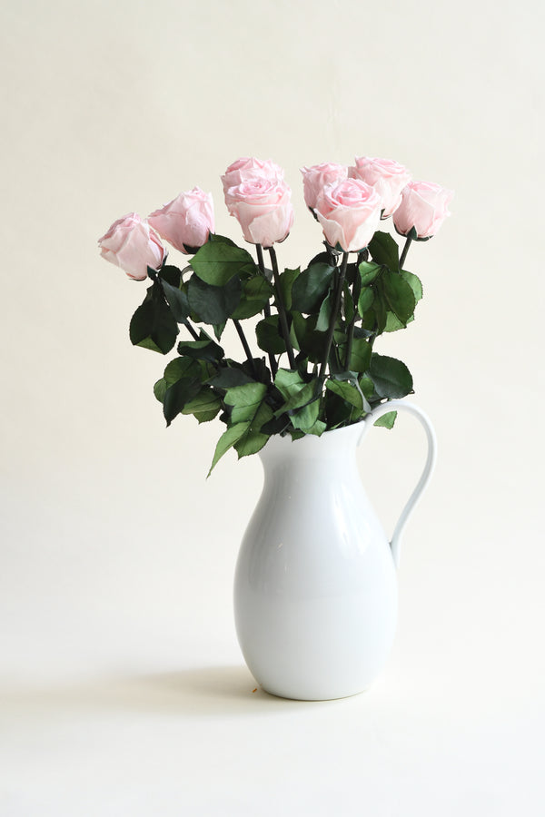 DELICATE PINK STEM ROSE