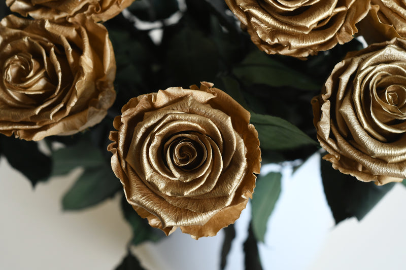 GOLD STEM ROSE