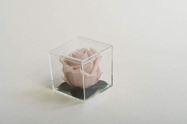 GOLD ROSE MINI ACRYLIC BOX