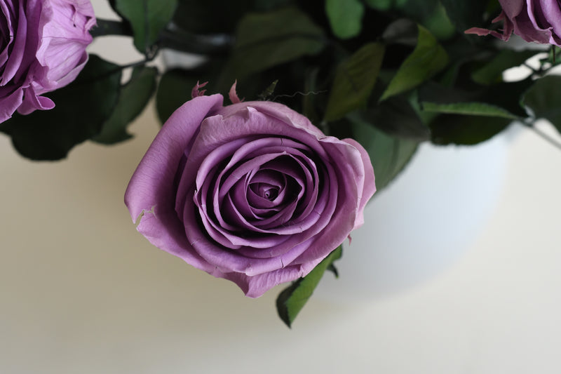 LILAC STEM ROSE