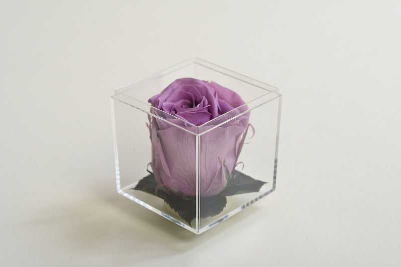 LILAC ROSE MINI ACRYLIC BOX