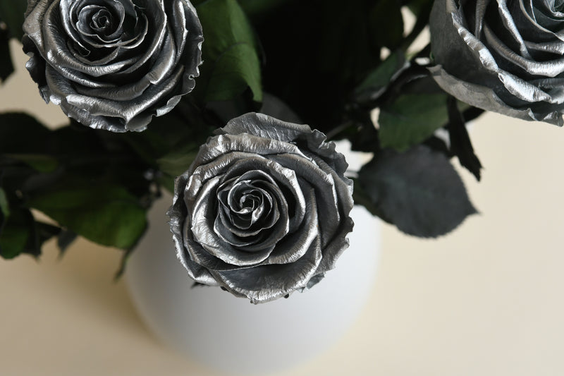 SILVER STEM ROSE