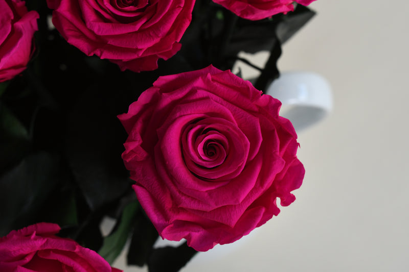 SOPHISTICATED HOT PINK ROSE STEM